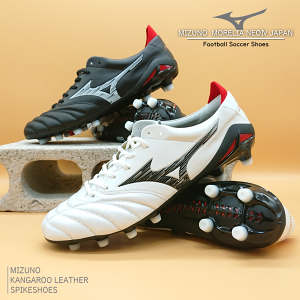 『 MIZUNO