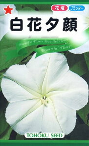 花種子 白花夕顔 トーホクのタネ