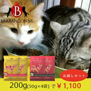ブラバンソンヌ 猫用 キャットフード お試しセット 200g 小粒 ドライ ローグレイン