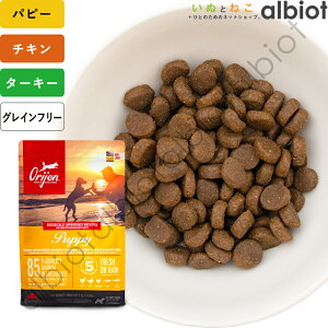 オリジン パピー