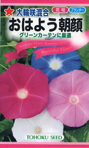 花種子 大輪咲混合 おはよう朝顔 トーホクのタネ