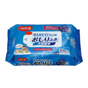 ピジョンタヒラ やぶれにくいタイプのおしりふき 大判厚手タイプ 無香料 40枚入り×24袋