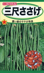 野菜種子 三尺ささげ トーホクのタネ