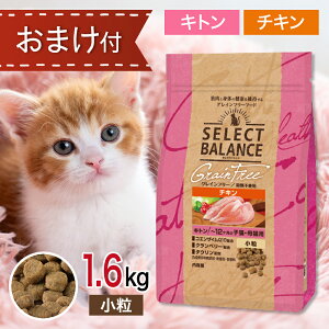 セレクトバランス 猫 グレインフリー キトン チキン 小粒 1.6kg ペットフード おま