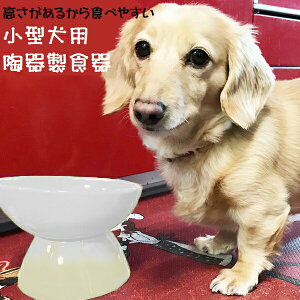 [6月16日〜7月1日 陶器製 小型犬用食器アイボリー（ホワイト）陶器 陶製 犬 ペット用
