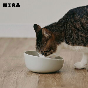 磁器 ペット用フードボウル 小