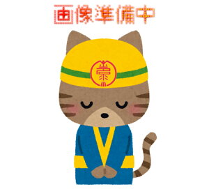 ファインDFセラミック つや有り 淡彩・標準色 3.2Kgセット 日本ペイント