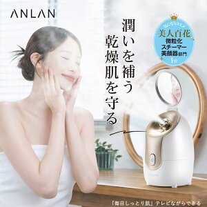 60冠 スチーマー 美顔器 フェイススチーマー 濃密ナノミスト 大容量 ノズル調節可能 顔