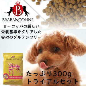 ブラバンソンヌ シニア 犬用 ドッグフード エイジングケア チキン 2.5kg 準 療法食