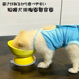 [6月16日〜7月1日 陶器製 短頭犬用食器イエロー陶器 陶製 犬 ペット用食器 大阪公立