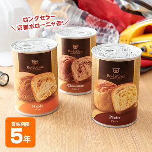 非常食 パン 缶詰 5年保存 缶deボローニャ デニッシュパン 防災食 保存食 備蓄食 プ