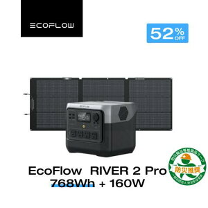 EcoFlow RIVER 2 Pro ポータブル電源 大容量 768Wh AC定格800