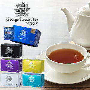 紅茶 ティーバッグ ティー 個包装 2gx20袋 個別包装 George Steuart