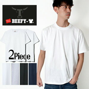 Hanes ヘインズ ビーフィー H5180-2 Tシャツ 半袖 メンズ 2P パックT