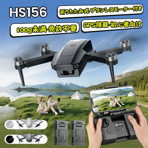 Holy Stone ドローン 100g未満 カメラ付き 小型 カメラ GPS搭載 FPV