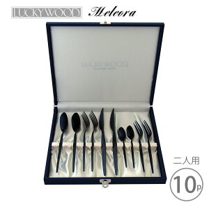 カトラリーセット ナイフ フォーク スプーン 2人用 10pc 本ケース入 LUCKY W