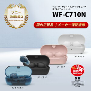 SONY WF-C710N ソニー ノイズキャンセリング 完全ワイヤレスイヤホン Blue