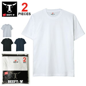 Hanes BEEFY T-SHIRT ヘインズ ビーフィー Tシャツ パックT 2P (