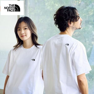 ザ・ノース・フェイス THE NORTH FACE Tシャツ 半袖 メンズ フラッシュドラ