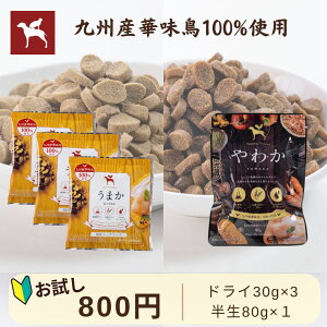 ドッグフード お試し うまか やわか 170g 国産 総合栄養食 全年齢 保存料・酸化防止