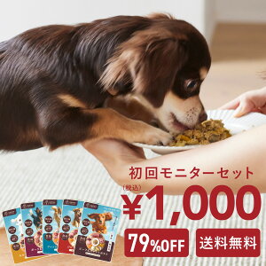 1000円ポッキリ ココグルメ 手作りドッグフード 国産 無添加 獣医師監修 総合栄養食