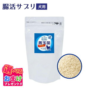クーポン おまけ付き ペット 乳酸菌 セレクトバランス 善玉菌のチカラ 犬用 顆粒 300
