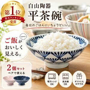 波佐見焼 白山陶器 平茶碗 2個セット / レンジ使用可 和食器 飯碗 お茶碗 お椀 ギフ
