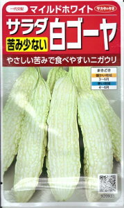 野菜種子 サラダ白ゴーヤ「マイルドホワイト」 2ml（サカタのタネ） まいるどほわいと 白