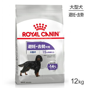 ■最大CCN マキシ ステアライズド 大型犬 避妊・去勢 生後15ヵ月齢以上 12kg (