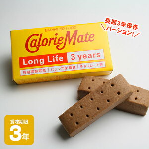 大塚製薬 カロリーメイトロングライフ 2本入 チョコレート味 バランス栄養食 バランスフー