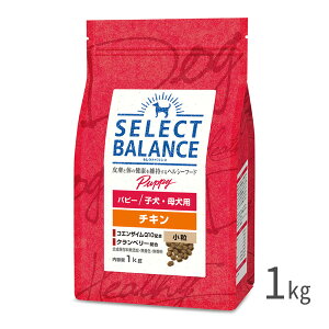 セレクトバランス パピー 子犬・母犬用 チキン 小粒 1kg 子犬・母犬用 ドライフード