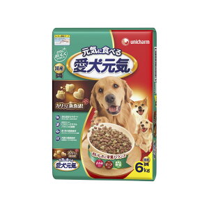 ドッグフード 愛犬元気 ドライ 6kg ささみ ビーフ 緑黄色野菜入り 成犬用総合栄養食