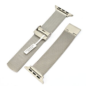 ダニエルウェリントン 替えベルトアップルウォッチ用 Apple Watch42mm/44m