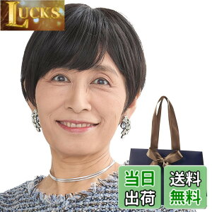 Dazzle 医療用 ウィッグ シニア 高齢者用 レディース ショート 色：10.ナチュラ