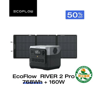 EcoFlow DELTA 2 ポータブル電源 NEW 1024Wh 大容量 ぽーたふる電