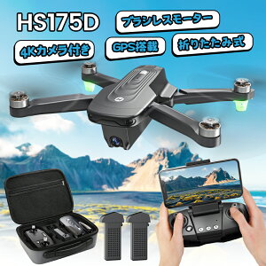 Holy Stone ドローン 4K fpv カメラ付き GPS搭載 室外 ブラシレスモー