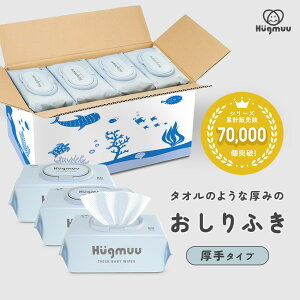 おしりふき 厚手 タオルのような厚み 大判 蓋付き 80枚入り ウェットティッシュ おてふ