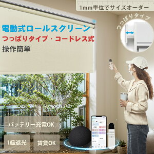 KEEGO 電動ロールスクリーン つっぱり 電動式 コードレス式 音声制御 スマート制御