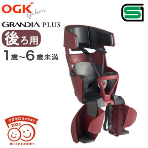30日エントリー&楽天カード決済OGK技研 RBC-017DX PLUS グランディア プ