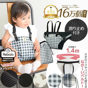 Rebalo マグネットメッシュカーテン 2枚入・ブラック NR645 -