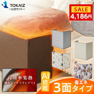 直営保証30%クーポンで4,186！ブランケット付追加 パネルヒーター 足元 ヒーター ひ