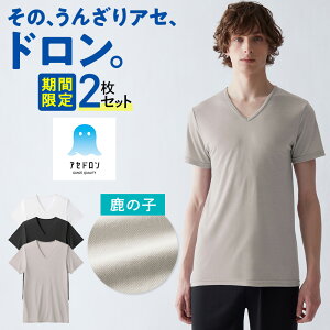 グンゼ アセドロン 半袖 Vネック 鹿の子 メンズ 夏 夏用 吸汗速乾 速乾 涼しい 涼感