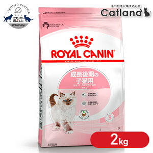 ロイヤルカナン キトン プレミアムフード ドライ ドライフード 猫 仔猫 猫フード 2kg