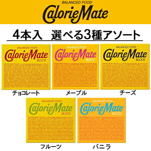 大塚製薬 カロリーメイト ブロック アソート 4本入り×10箱×3種類 （120本）バラン