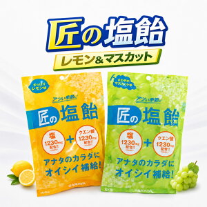 夏季限定商品！ サラヤ 匠の塩飴 2種 レモン マスカット 100g 塩分補給 熱中症対策