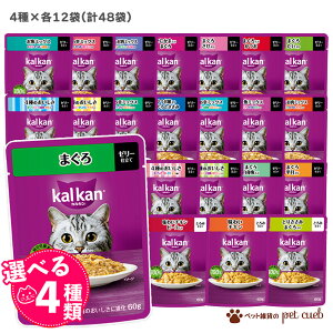 カルカン パウチ 成猫 猫 選べる 4種×各12袋 猫 キャットフード フード 餌 パテ