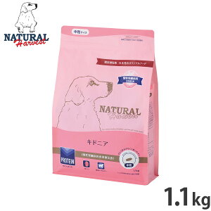 ナチュラルハーベスト ドッグフード キドニア 慢性腎臓病用食事療法食 1.1kg 無添加