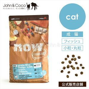 ナウフレッシュ グレインフリー フィッシュアダルトキャット NOW FRESH 猫 キャッ