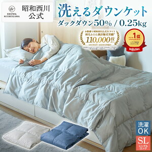 昭和西川 ダウンケット 洗える （肌掛け布団） ベーシックカラー シングル 150×210