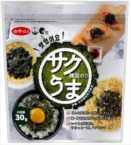 白子のり サクうま韓国のり 30g×10個